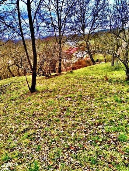 Ocazie! Vand teren Curtea de Arges glamping/ casa vacanta/ pensiune - 6