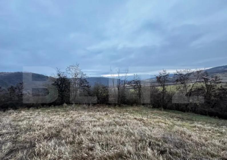 Teren extravilan 4300 mp, zona Criseni - Paclisa - 1