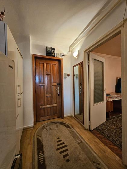 Apartament cu 2 camere bld. Balcesu langa brutaria Panaur si restaurant Dunarea - 10