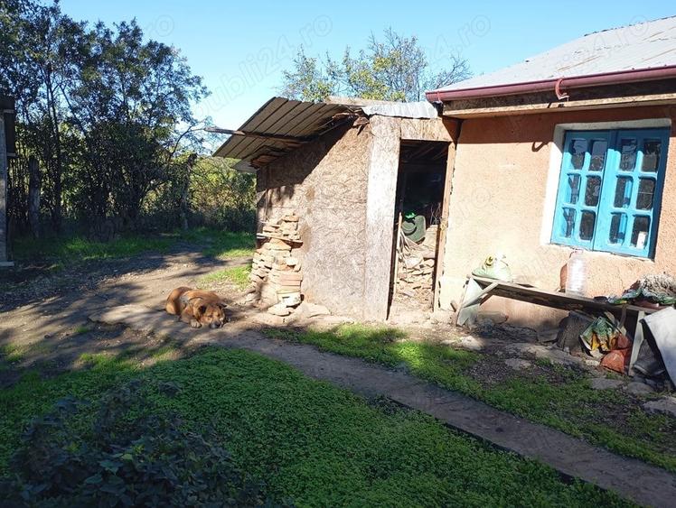 Casa cu teren de 2000 m - 1