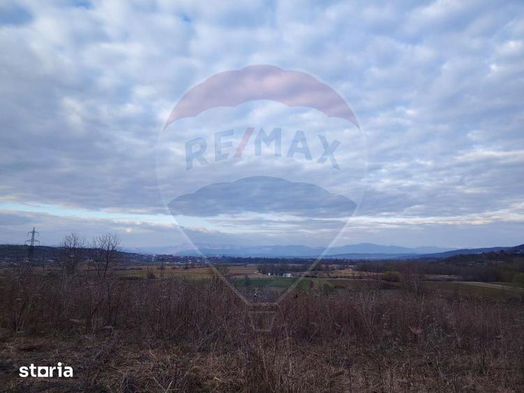 Teren cu panorama superba in Berchezoaia + bonus rulota - 9