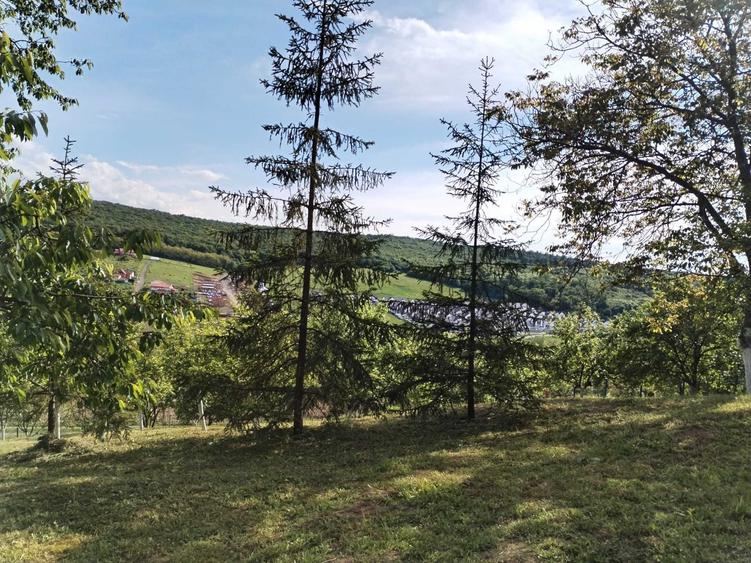 Teren Intravilan de vanzare in Targu Mures zona budiu mic - 8