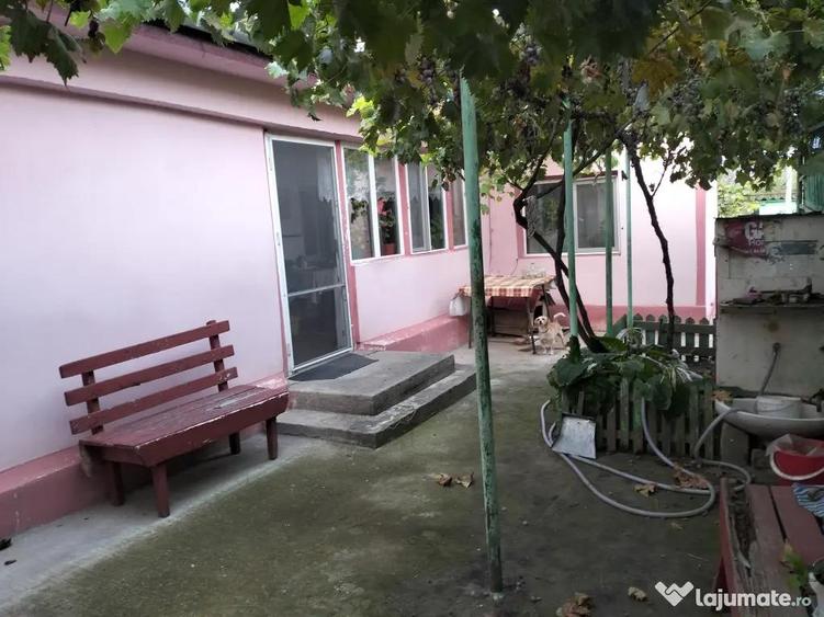 Vand casa batraneasca Lumina Constanta - 6