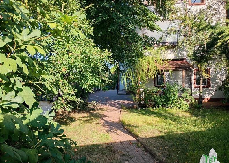 Vila deosebita, Brancoveanu, Luica, curte generoasa. Merita - 14