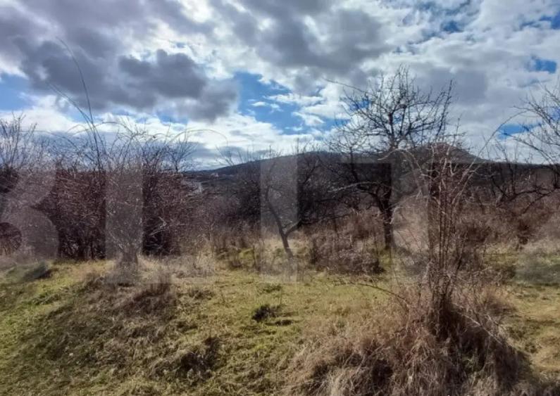 Teren extravilan 2500 mp - 1