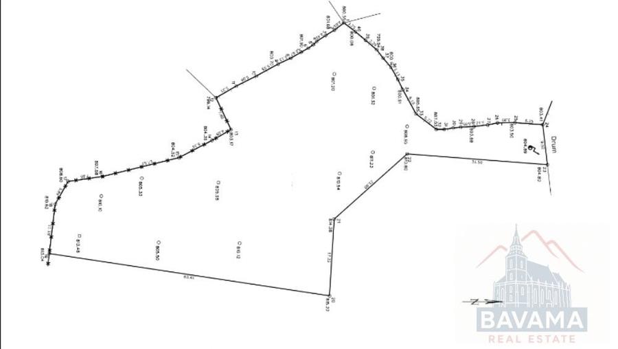 Teren intravilan de vanzare, cu vedere catre Castelul Bran - 6