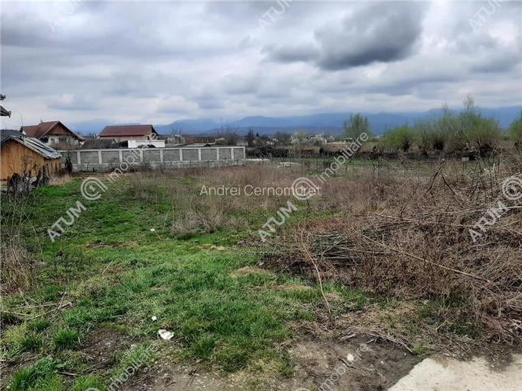 Teren intravilan 1300 mp de vanzare pe Valea Avrigului, drum asfaltat