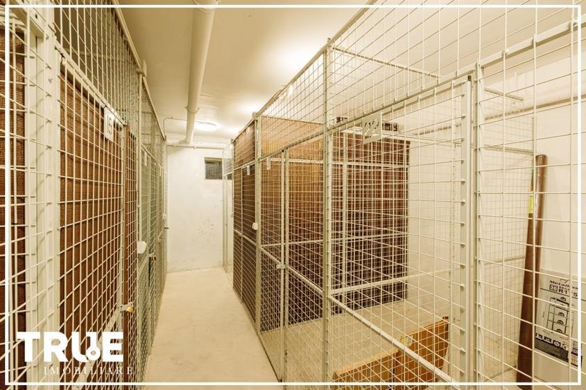 Ap.3 camere, 70.7m? + balcon, Maurer Residence! - 10