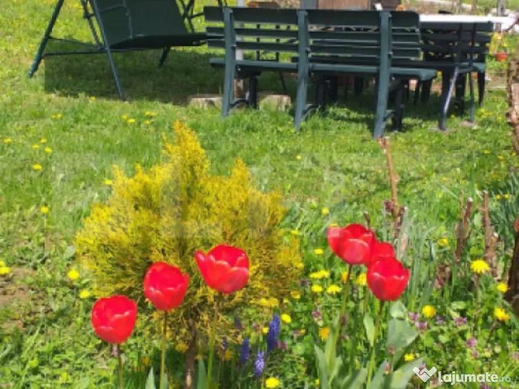 Cabana in zona Gherla, teren 1617 mp, zona linistita rel - 10