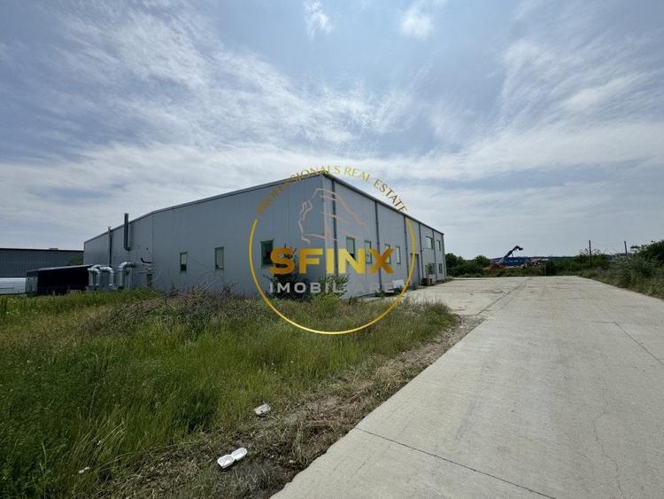 Hala si birouri zona Mogosoaia sos Odai - 2