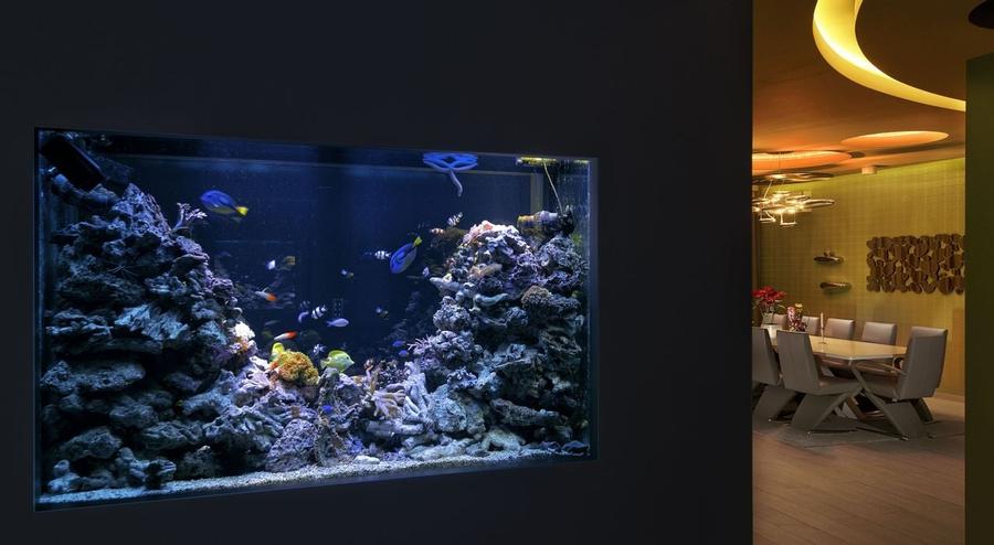 RELAX         REFRESH         REVIVE - 11