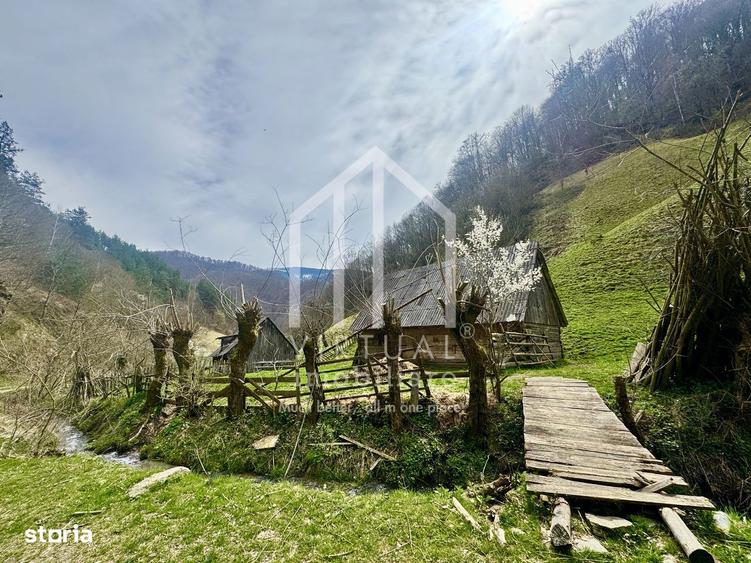 Teren intravilan + faneata, ideal pentru investitie - Rau Sadului - 4