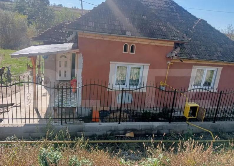 Casa spatioasa in Sanmihaiu de Campie - 10