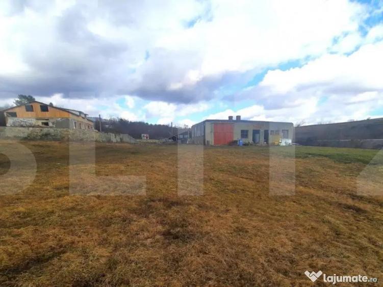 Ferma in intravilanul comunei Cojocna,4,5 Ha cu hale - 4