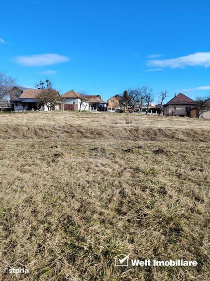 Ocazie/ Teren de vanzare in FELEAC - 1