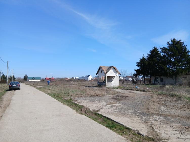 Teren intravilan 16400 mp, Balotesti-Saftica - 50 euro/m2 - 3