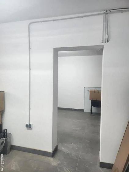 Demisol de vanzare - 7