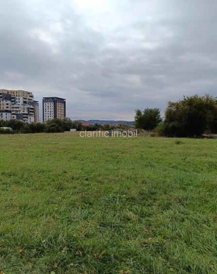 Teren intravilan 8000 mp , DR.D.Vechi