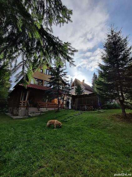 Vand Cabana Belis - 1