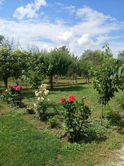 Vand, schimb casa in Ineu, jude?ul Arad - 2