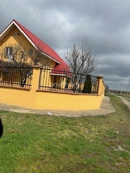 Letca Noua Letca Noua
