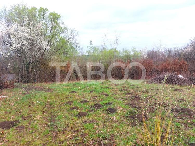 Teren intravilan pentru casa zona linistita 550 mp front 21 m Cisnadie - 2