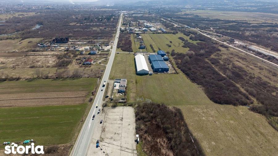 Teren extravilan de 7.000 mp langa Paltini? - 3