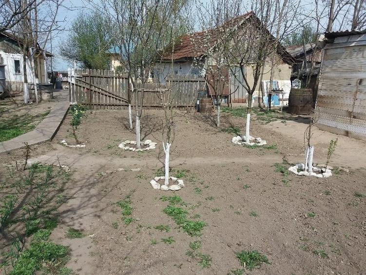 Casa locuita in prezent, de vanzare - 3