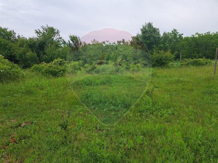 Teren Silistea Snagovului 500 mp apropiere padure - 1