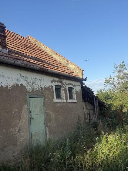 Vand casa in localitatea gelu - 3