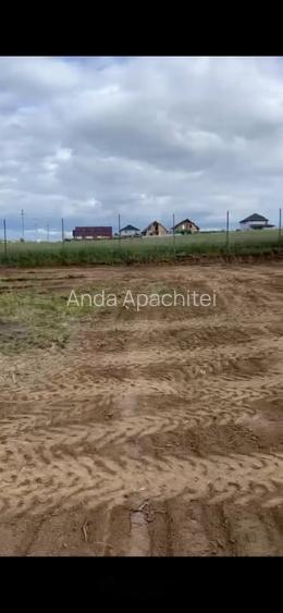 Teren Intravilan 550 mp Bod/Sanpetru Teren Intravilan 550 mp Bod/Sanpetru