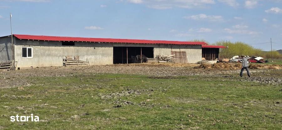 Ferma Zootehnica de Vanzare 6 Ha | Vaci si Oi | Grajd si Saivane | Cal - 3