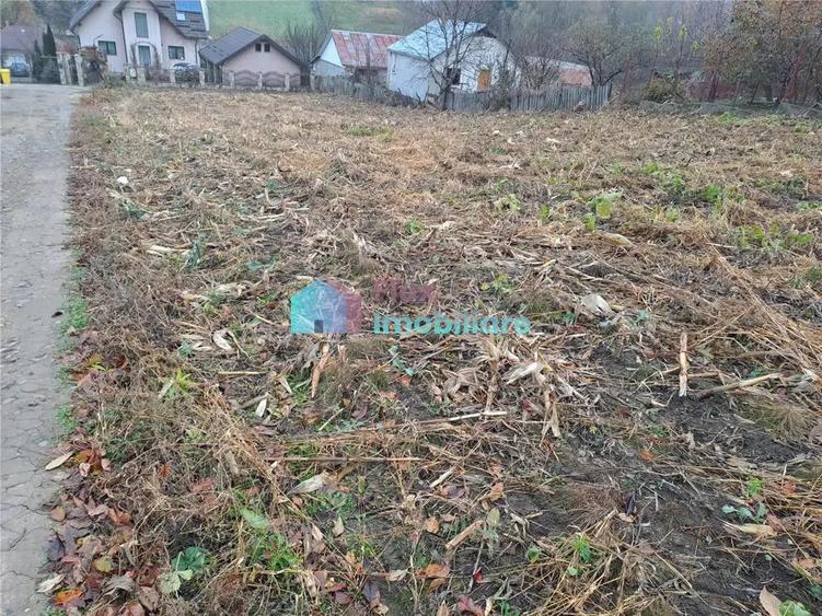 Teren intravilan 702 mp Sf. Ilie - 3