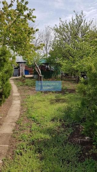 Teren 2.600 mp, utilități, Str. Merișor – Giurgiu - 9