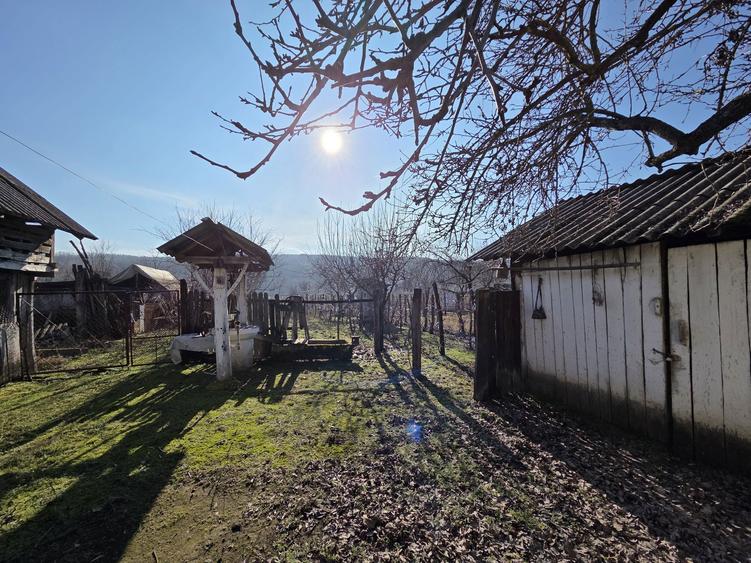 Casa + teren Aninoasa sat Groserea - 1