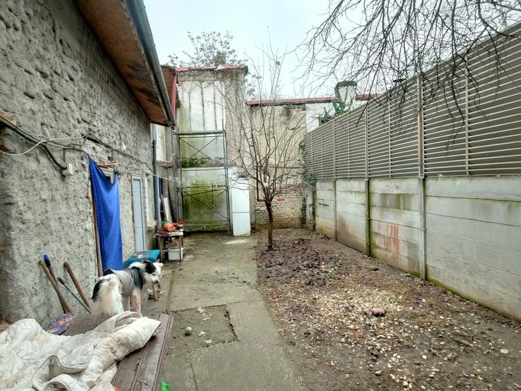 Parcul Circului, Bucuresti - 5