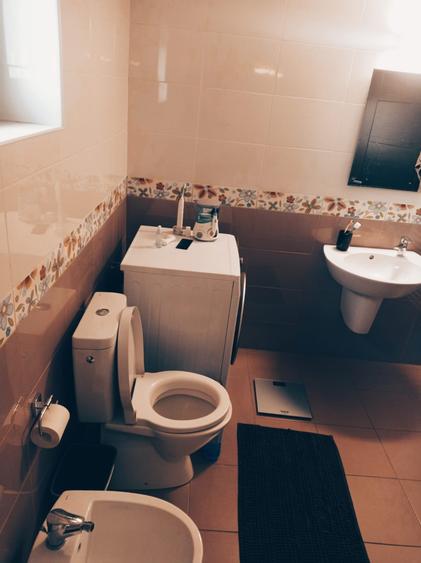 Proprietate Specială Pitești / Bascov - 18