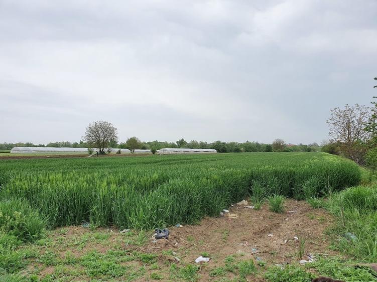Teren agricol extravilan de 2672 mp, în Vidra