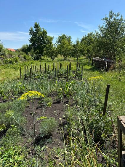 Casă cu 3 camere în Reghin