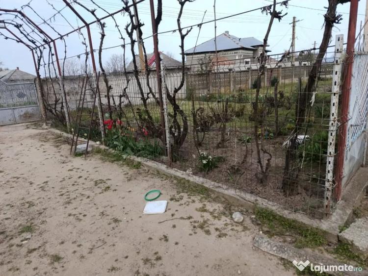 Casă cu 5 camere cu Teren 8481 Mp în Soreni