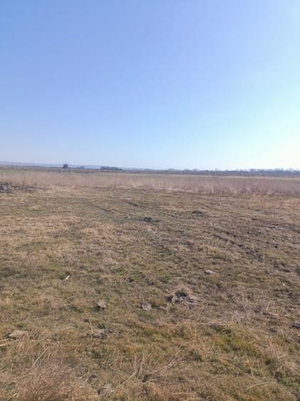 Teren agricol extravilan de 10000 mp, în Golăiești