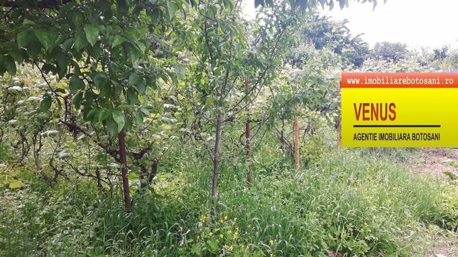 Teren Construcții intravilan de 500 mp, în Central