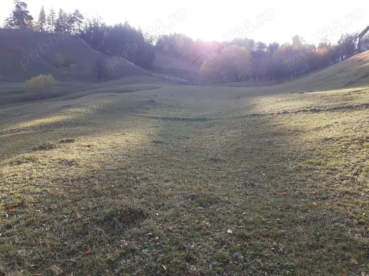 Teren de 13700 mp, în Nereju