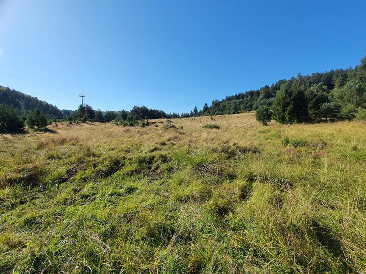 Teren Construcții intravilan de 1810 mp, în Brebina