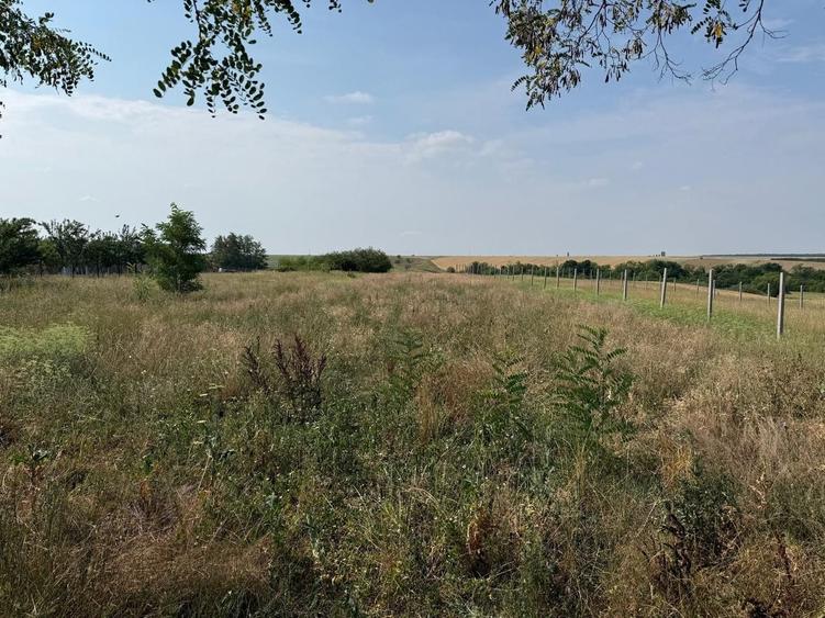 Teren Construcții intravilan de 1203 mp, în Miersig