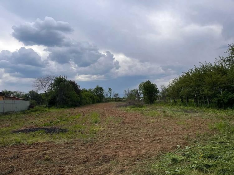 teren de vanzare - 2