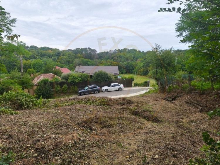 Teren intravilan Mosoaia - Hintesti - 1