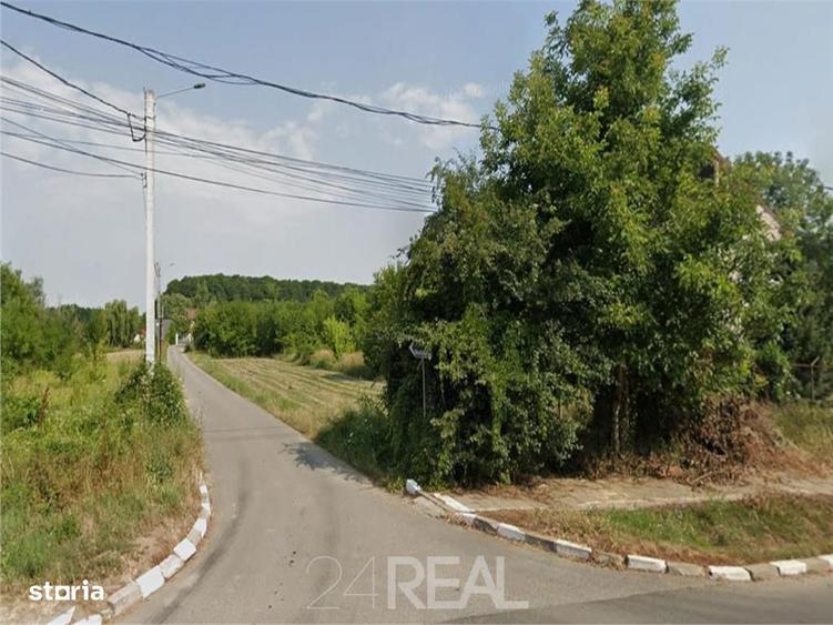 Teren de vanzare in Snagov - 981 mp - 3