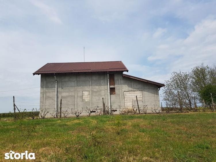 Lehliu Gara. vila cu teren 36.000mp - 3