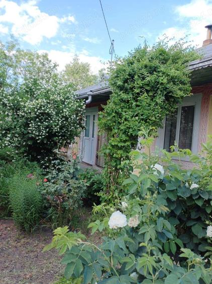 Casa in Miorcani - 7